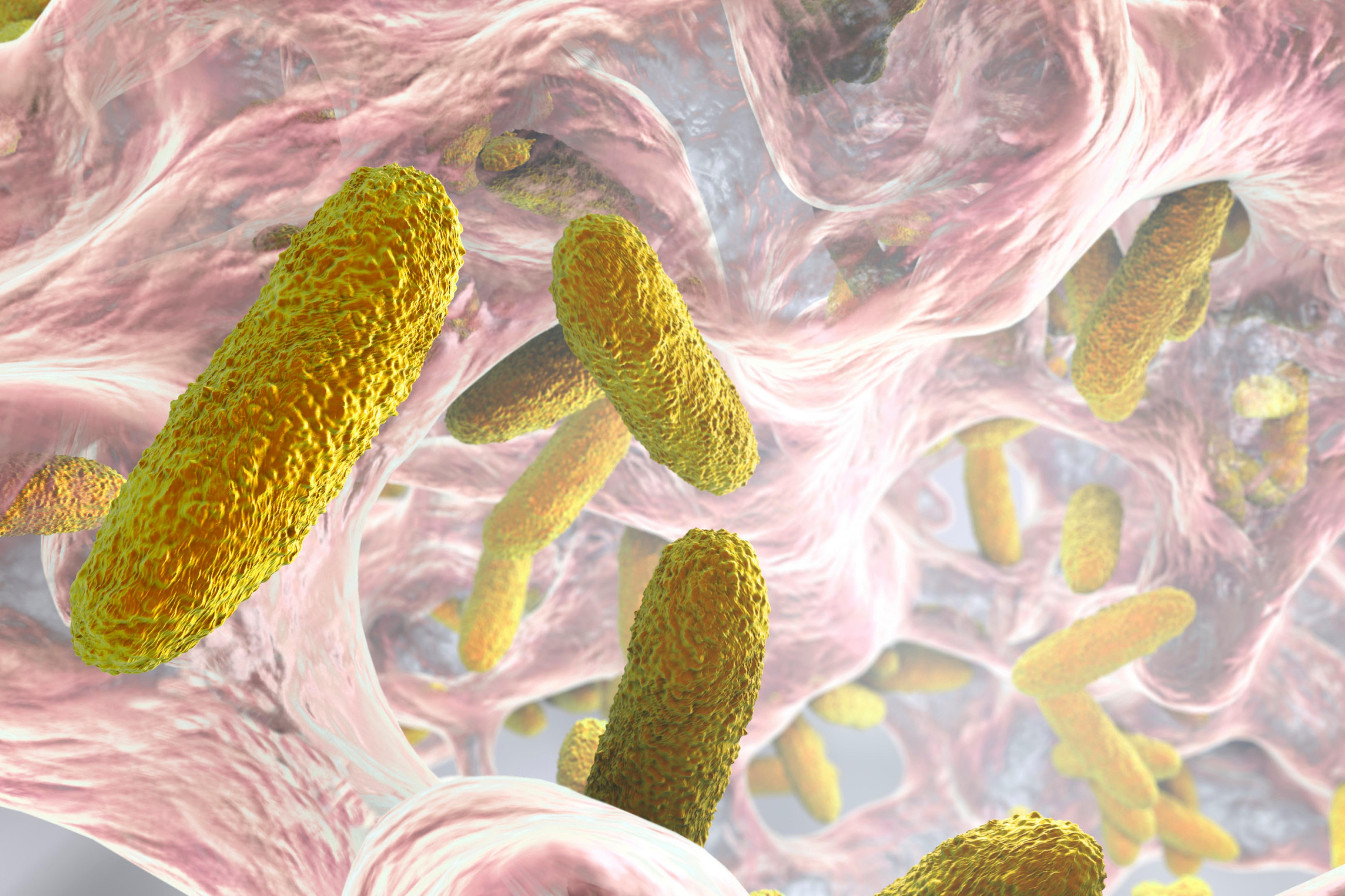 Participa en el Webinar de Bionova: ¿Está el Biofilm Dañando Silenciosamente tu Producción?